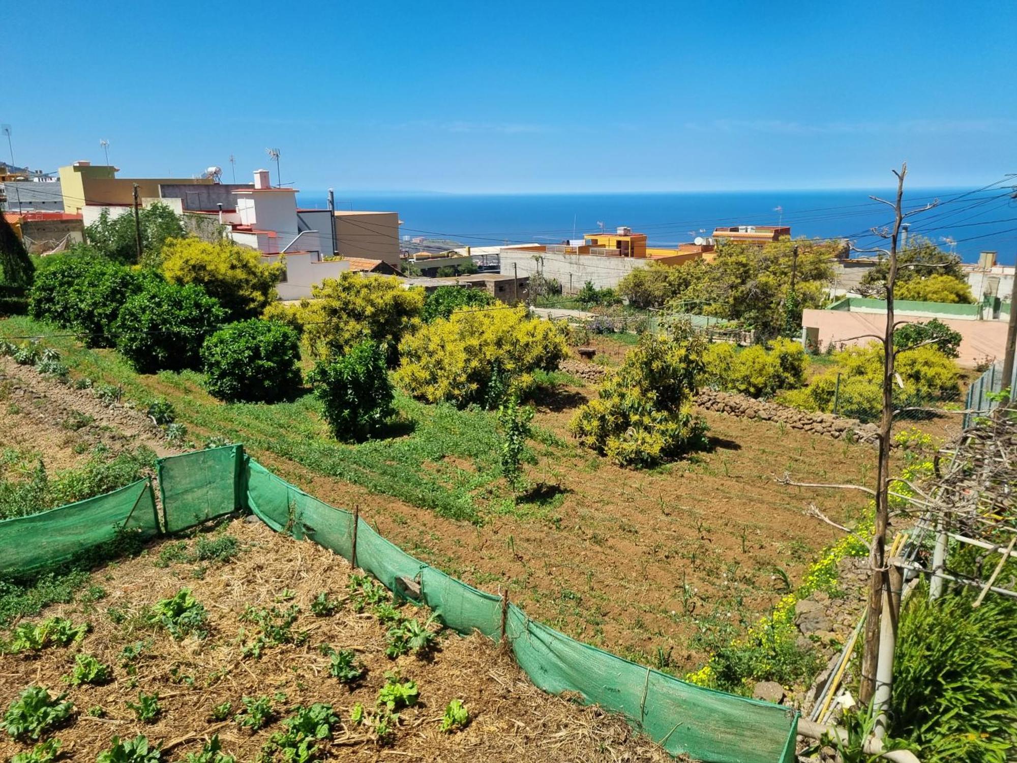 Vivienda Vacacional Ca Na Paula Ля Оротава Экстерьер фото